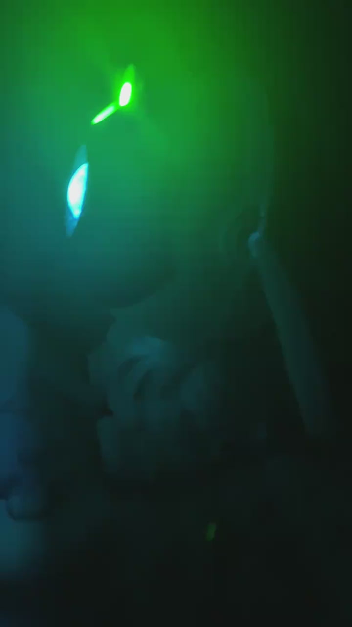 EchoLumen Astronaut Galaxy Projector